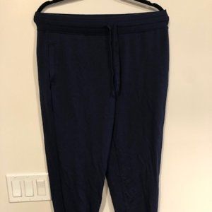 Fabletics Luxe Blue Terry Joggers Size L